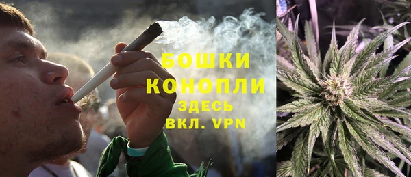 шишки Пролетарск