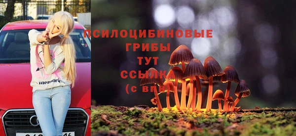 мяу мяу мука Приозерск