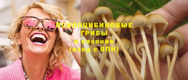 шишки Пролетарск