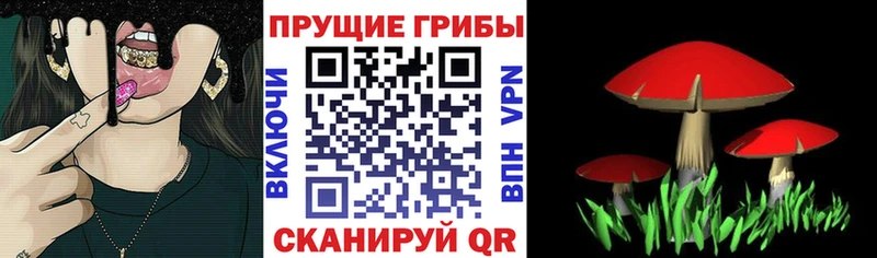 blacksprut ССЫЛКА  Алагир  Галлюциногенные грибы Psilocybe  продажа наркотиков 